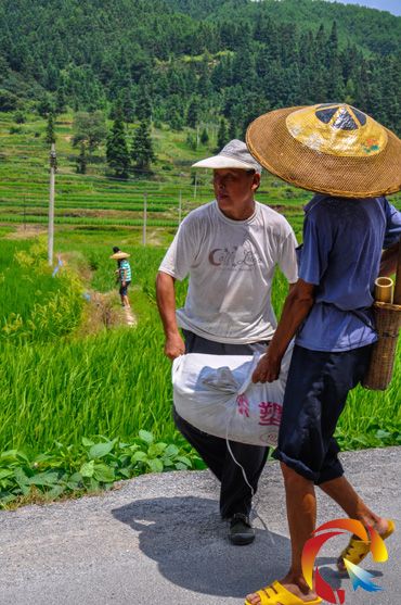 �\���h��`�l��Ⱥ���԰ļ��ʽ�����O��