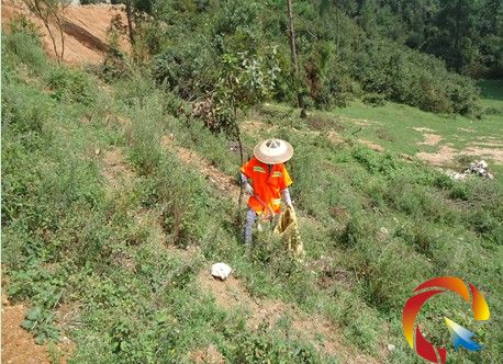 �h�l�������ړ�ʰ����