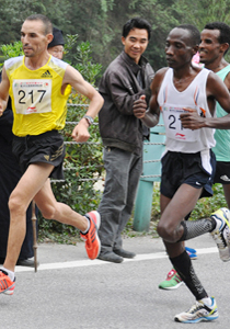 �����ȿֺ� ����  �z