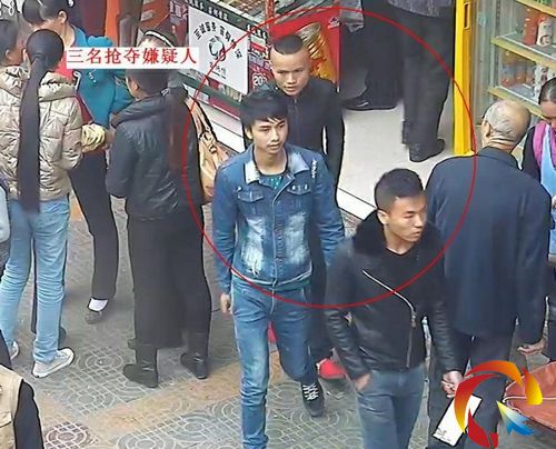 �ɲ�T�i������������