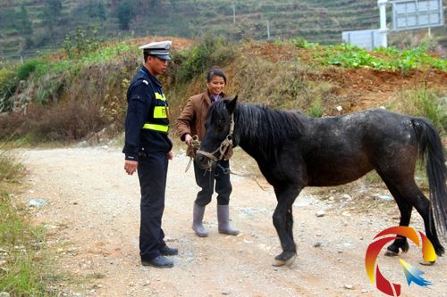 ���o������