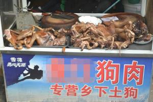 �����Թ�����Ɂ�(l��i)