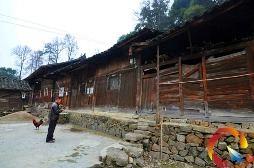 ����Ժ���F�t��Ժ�L����tɽ���Ժ���ͥο����ͥ�ɾ�