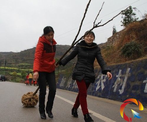 ʩ���ɲ�ֲ�䡰�����ơ�   ��ɻ��ʵ��f�ݰ�