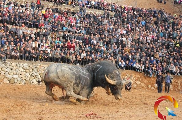 �_�������p�����Z�޻�D�M��ţ��һ��