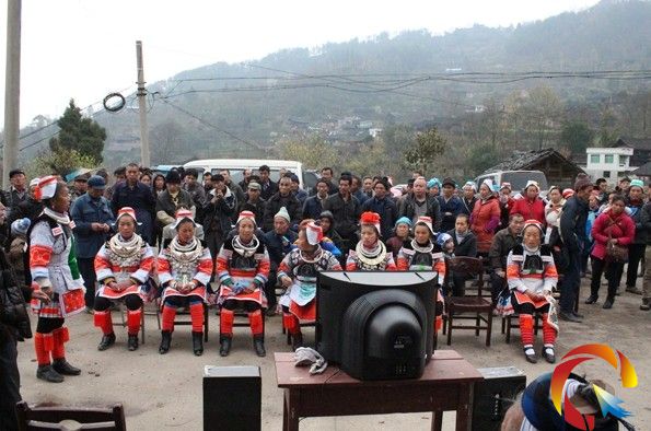 �Sƽ�������v�á����M(j��n)���l(xi��ng)��կ