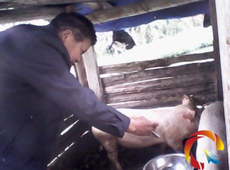 ��ƽ�h혻������l(xi��ng)�e�O���ô�����(d��ng)����߹���