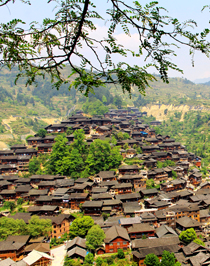 ������ǧ����կ ���������������` �z