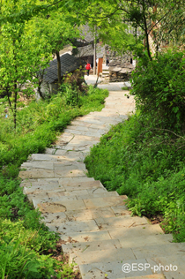 ��������կ�������R����  �׽��� �z