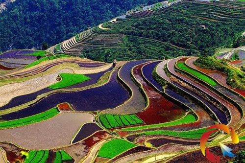 �Ľ��h����ɽ���߲���� ��ȫ�� �z