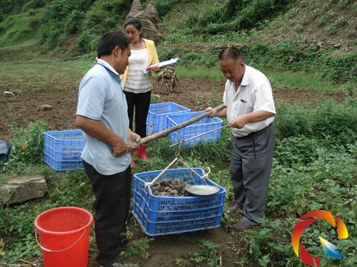 ��˾悮Y�۴��ɫ�R���ϲ�@�S��