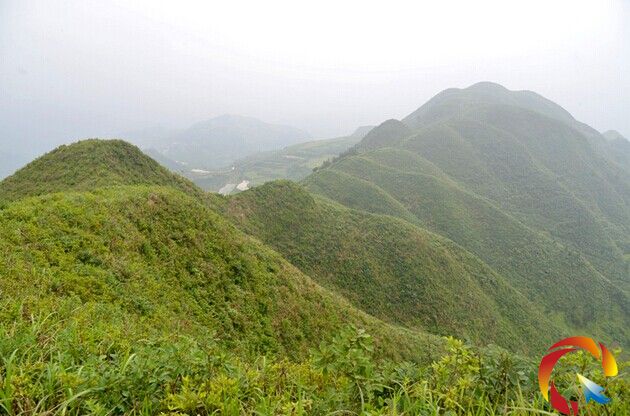 �Sƽ�h���]悴��ɽ�l�F�f��Ұ�����N