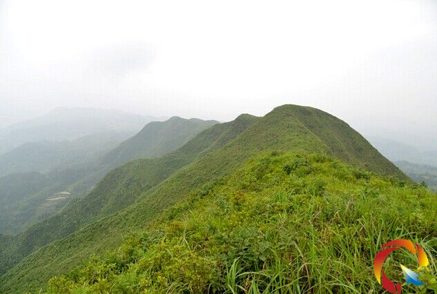 �Sƽ�h���]悴��ɽ�l�F�f��Ұ�����N