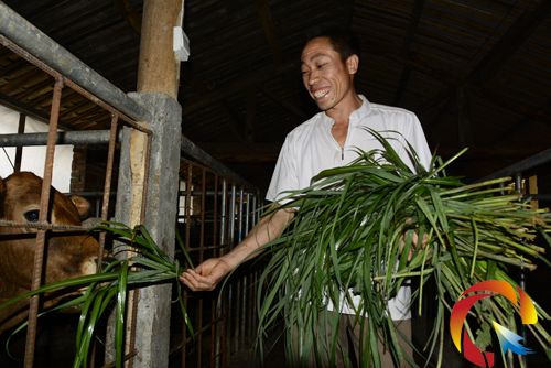 �\�������l�r�񹤎��I�����Bֳ��ţ���¸�·