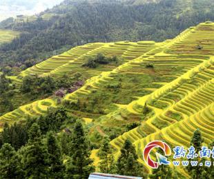 �Ľ���������¬F(xi��n)��������