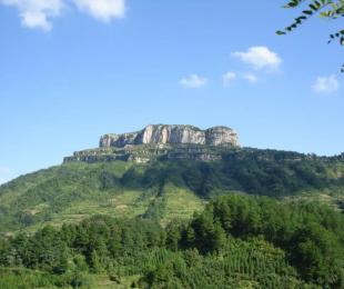 ���(y��ng)��(ji��)��ǭ�|���@Щ�Ǹߺ�ȥ̎����pick�Ă�(g��)?