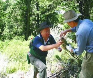 Ԯ�ظɲ�犓P���̎����������������