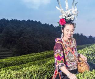 �Ȳ���Ƿ�ؚ!�Ї��ׂ���ؚ��@�Q��