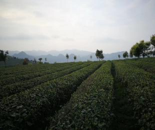 ���죡���F�ݲ��ȥ�Ї����H�販��