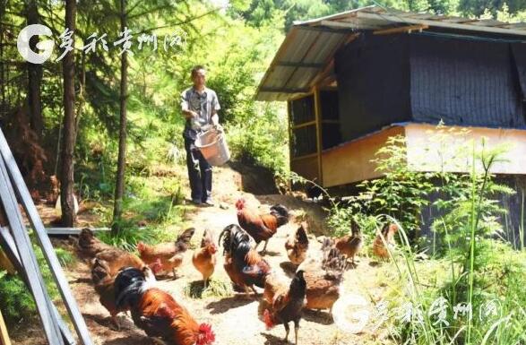 �P����ˇ�p�T�����M��tɽ���¹�