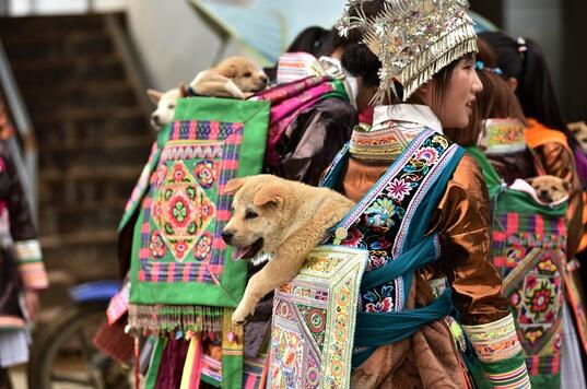 �Ľ��h�������������ָ��������غ�����ӷN�ӆT����