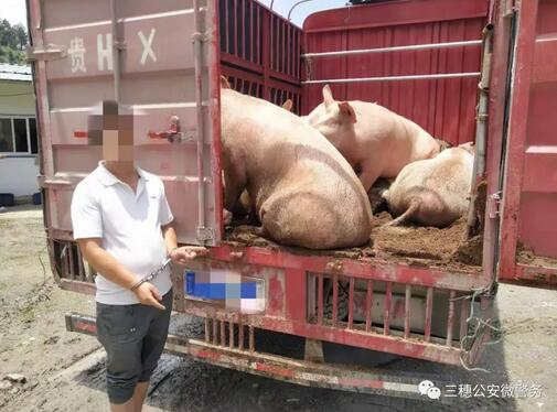 �`����ˮһ������&nbsp;������������lչ���^��