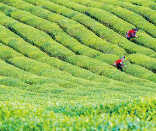 ��ƽ�� �����¡��� ��ƽ�h2019���I(y��)�l(f��)չ�C��