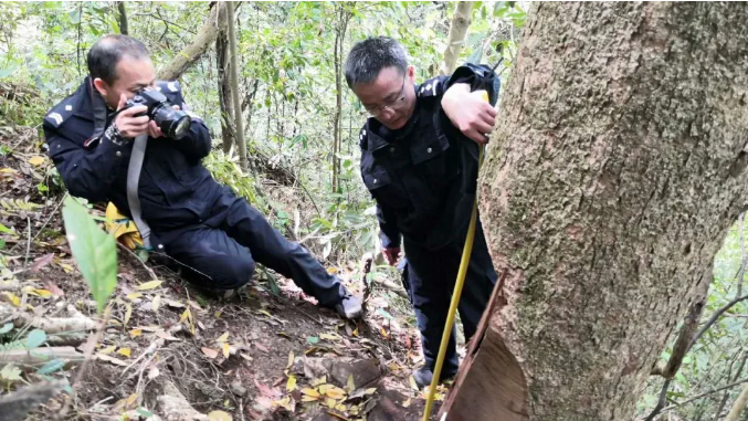 ��կ������ů�����ٹ�·����±��F�� ����·���o��̎��