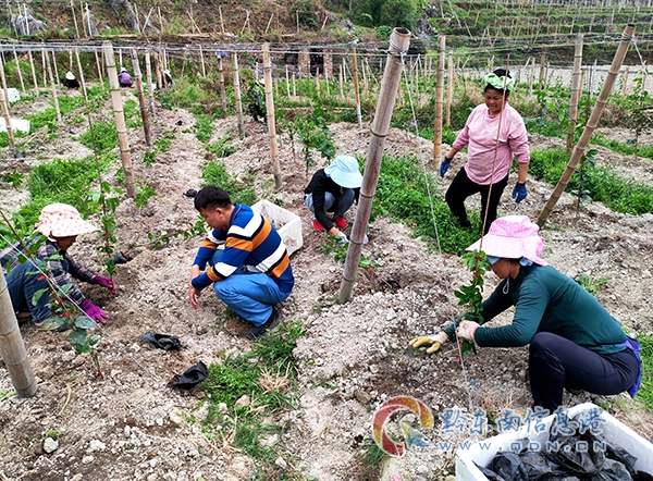 �F�ݏĽ���������M��ȭ���،��r������·