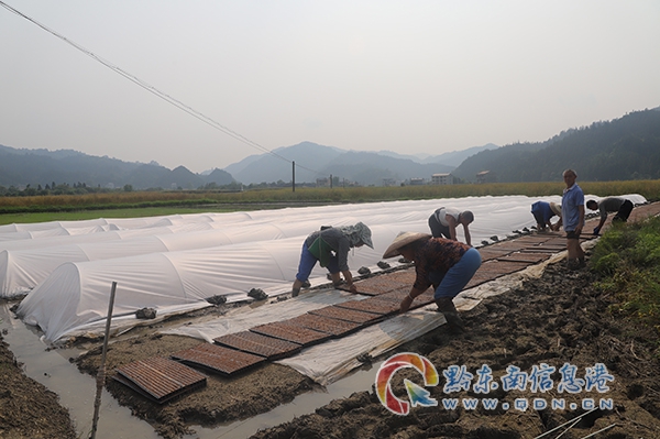 �D�� ���\���~�����կ�������������˂����ڔ[�P