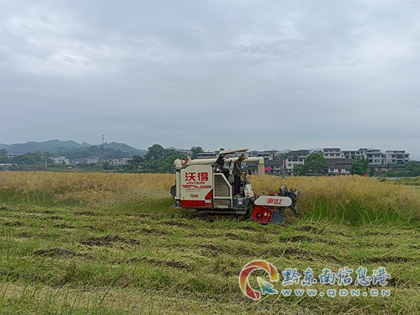 ��ƽ�h��2023���ﶬ���Ͳ�ȫ�̙Cе���Ŀͨ�^�y�a���