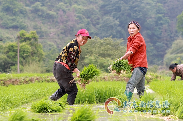 �얿h˼�D�(zh��n)��ˮ������æ