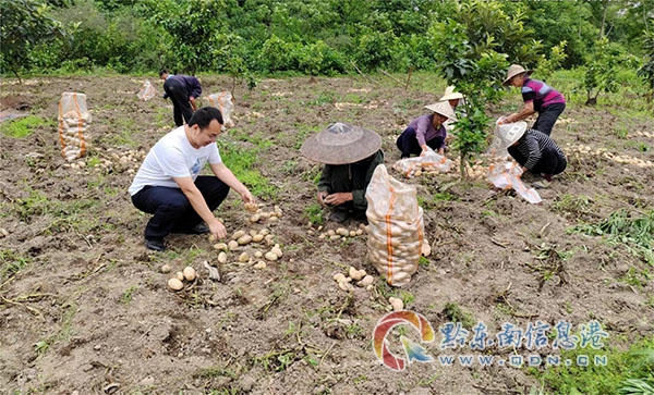 ��Ϫ患��~����������� ���~�����L�S�D