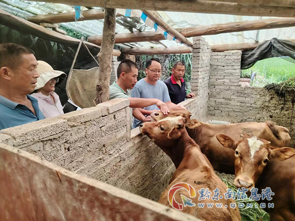 �D��a�I�������a�Ŀ��ţ�Bֳ���