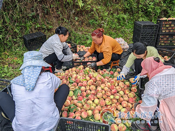 �Sƽ�h���w�V����ξ��_չ���W�ϾW���ՠI�I��������Єӈ̷��z��