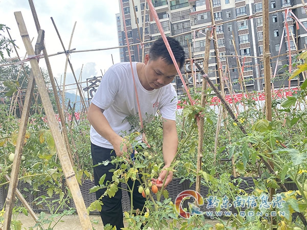 �F��ʡ�˴��������h�hί��ӛ���ȫ���I�쾫�� ���µ����έh��