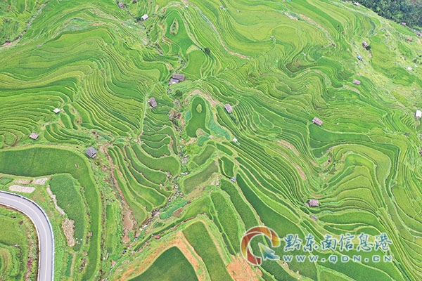 �Ľ��h���F患�ʢ���������