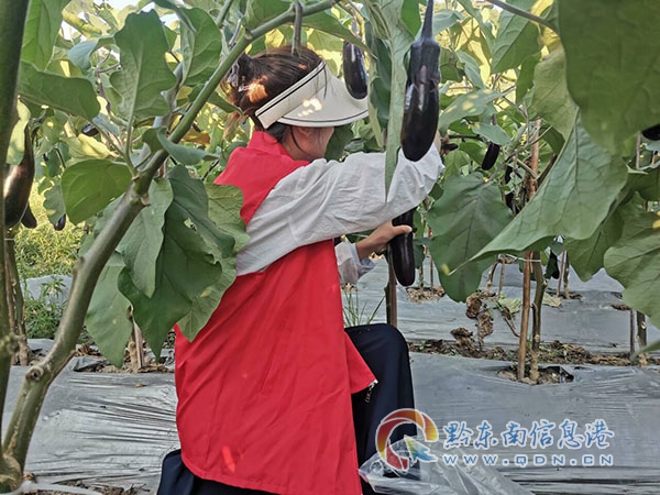 ���h�������Pÿ���齭�ˡ�