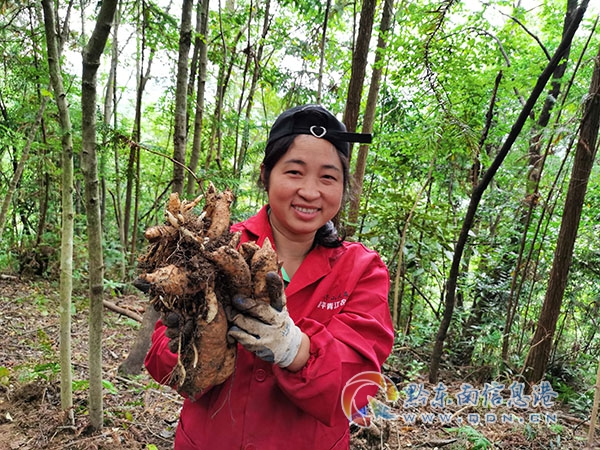 �ų��(zh��n)������������ץ����������`������