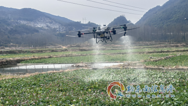 �Ř�Q����������Ů����ʎ����ң����c����Ř��޿�����