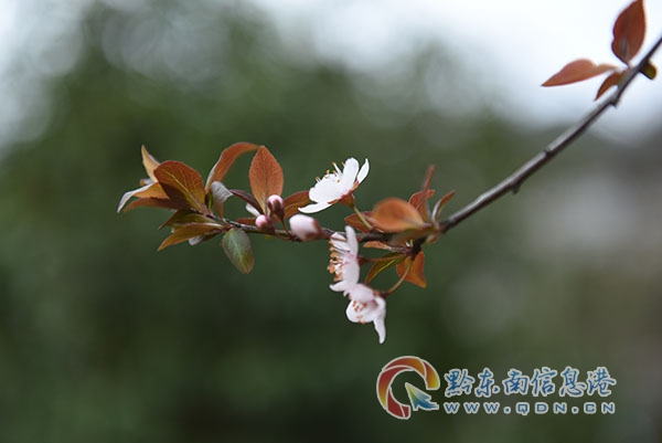 ��ӛ��������δ������s�����P��С������������˼���n