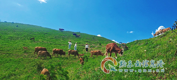 ��ƽ�r�I�������ܡ����������I�^�����Y�ܺã���������