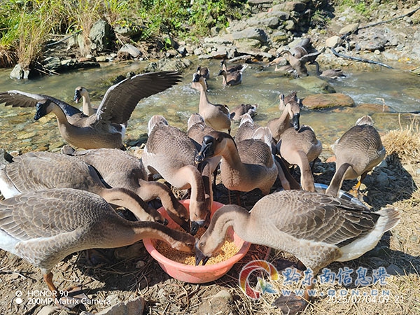 �F����ƽ����ꖹ���ա���Ӿ��ʷ����װ���^��һ��һС��