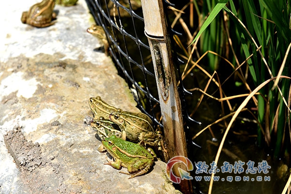 �P���бO���ξ��L�������{�г����־֣��^�����|���O�ܷ���