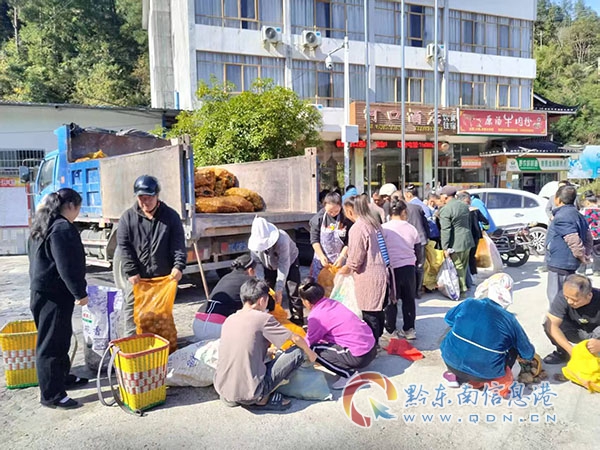 ע����11��21�������P��һ������·��(y��u)���{(di��o)��