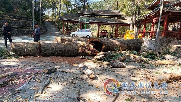 �T���������_�h����ʿ���ϸɲ���Մ��(hu��)