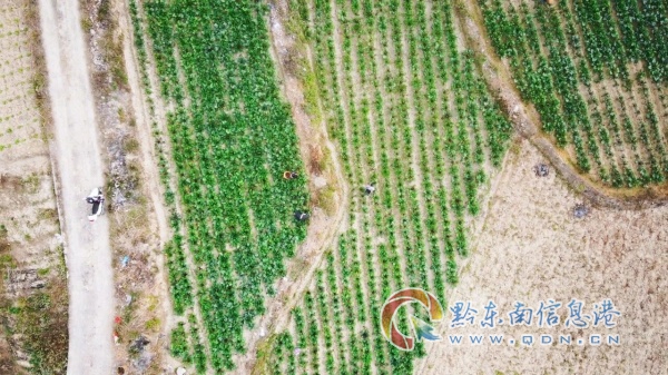 �얿h�t�����Ͼ��P�ڹ��_������t���������ͻ�����}���Ά��}������ͨ��