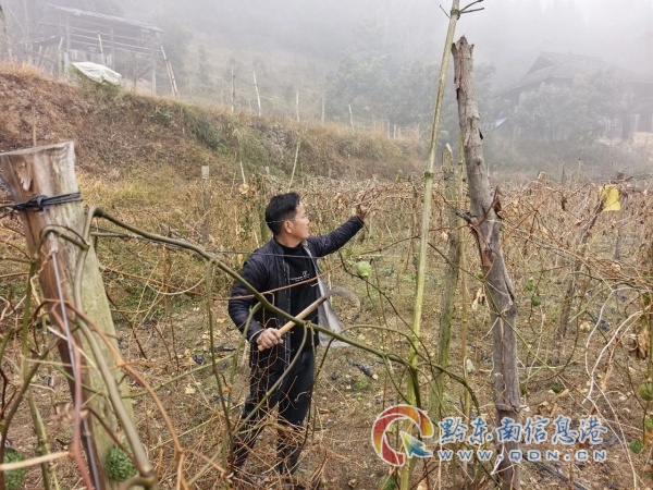 �����n�� + ů�ĶY�� �Ľ��]���l(xi��ng)�幫���o��(d��o)���_�n