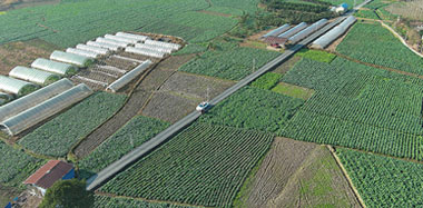 ��Ϫ��ﶬ�N���m�������|��Ч